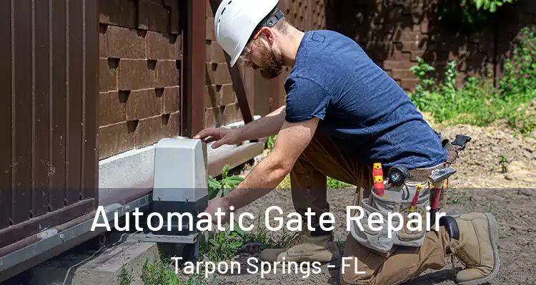  Automatic Gate Repair Tarpon Springs - FL