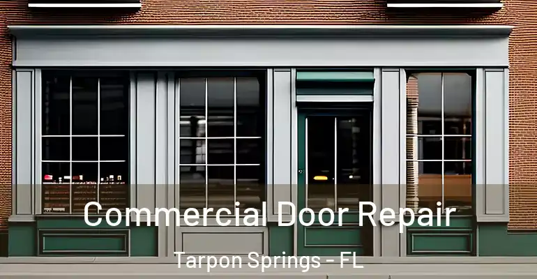  Commercial Door Repair Tarpon Springs - FL