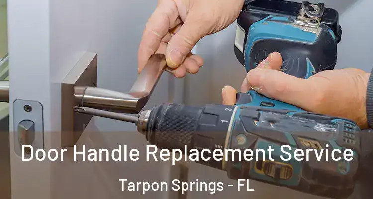  Door Handle Replacement Service Tarpon Springs - FL
