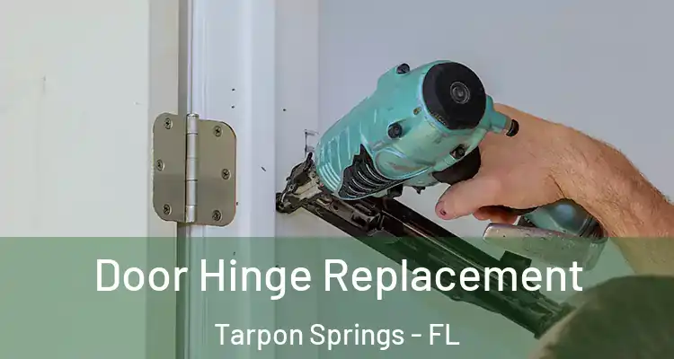  Door Hinge Replacement Tarpon Springs - FL