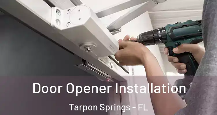  Door Opener Installation Tarpon Springs - FL
