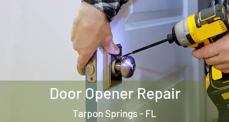  Door Opener Repair Tarpon Springs - FL