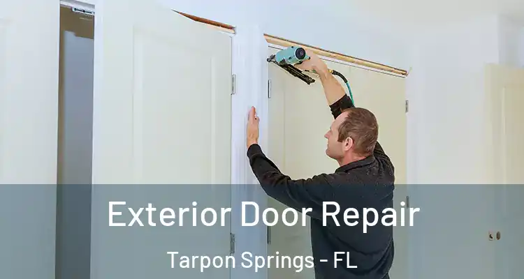  Exterior Door Repair Tarpon Springs - FL