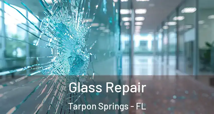  Glass Repair Tarpon Springs - FL