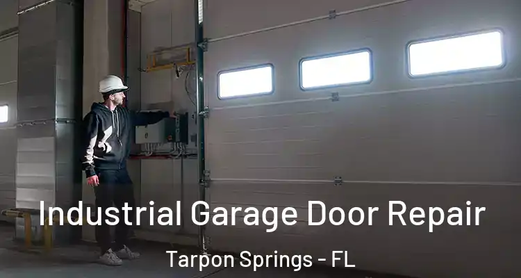 Industrial Garage Door Repair Tarpon Springs - FL