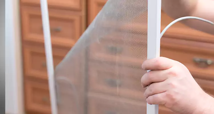 Privacy Mesh Screen Door Installation in Tarpon Springs, FL