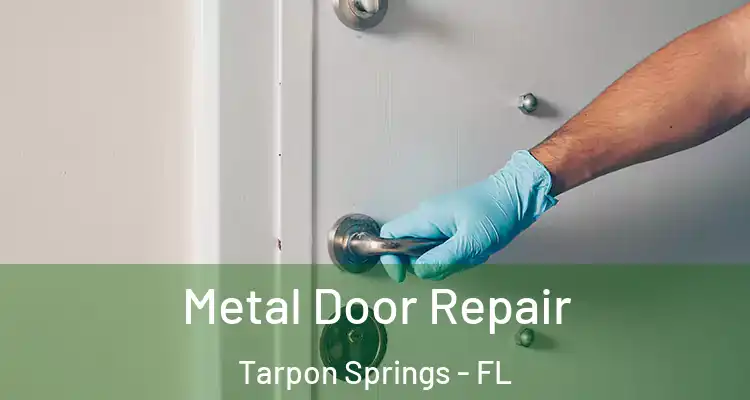  Metal Door Repair Tarpon Springs - FL