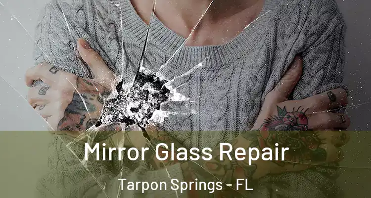  Mirror Glass Repair Tarpon Springs - FL