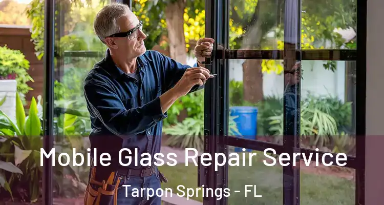  Mobile Glass Repair Service Tarpon Springs - FL