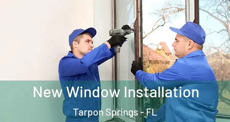  New Window Installation Tarpon Springs - FL