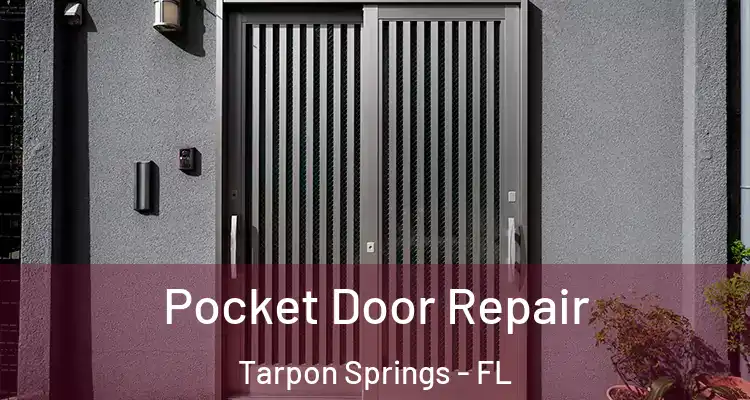  Pocket Door Repair Tarpon Springs - FL