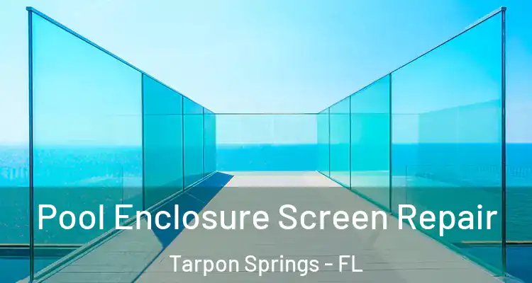  Pool Enclosure Screen Repair Tarpon Springs - FL