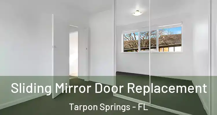  Sliding Mirror Door Replacement Tarpon Springs - FL