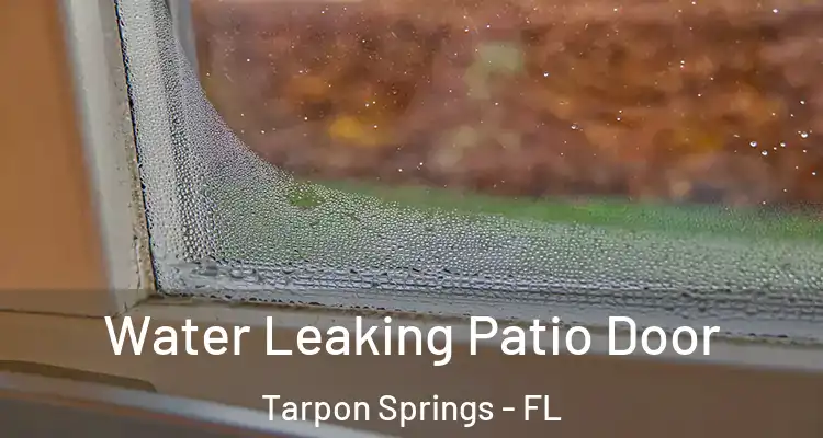  Water Leaking Patio Door Tarpon Springs - FL