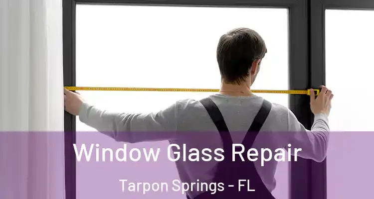  Window Glass Repair Tarpon Springs - FL